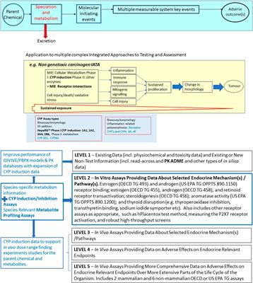 Candidate Proficiency Test Chemicals to Address Industrial Chemical Applicability Domains for in vitro Human Cytochrome P450 Enzyme Induction